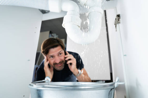 Best Local Plumber Services  in Denton, MD
